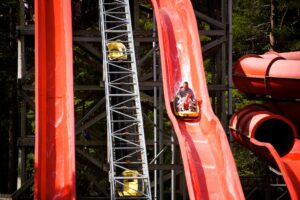 Landmark Forest Adventure Park