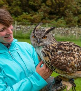 Loch Lomond Bird of Prey Centre