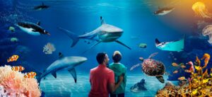 Loch Lomond SEA LIFE Aquarium