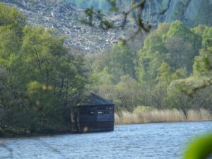 Loch of the Lowes Wildlife Reserve