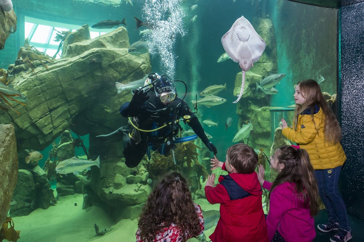 Wildlife encounters for half term