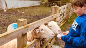 Newham Grange Farm