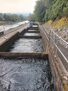 Pitlochry Fish Ladder and Dam