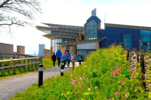 RSPB Saltholme
