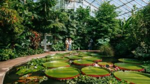 Royal Botanic Garden Edinburgh