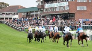 Sedgefield Racecourse