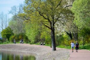 Strathclyde Country Park
