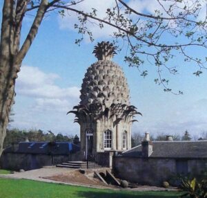 The Pineapple