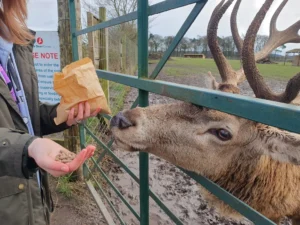 The Scottish Deer Centre and Wildlife Park