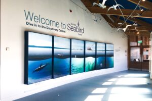 The Scottish Seabird Centre