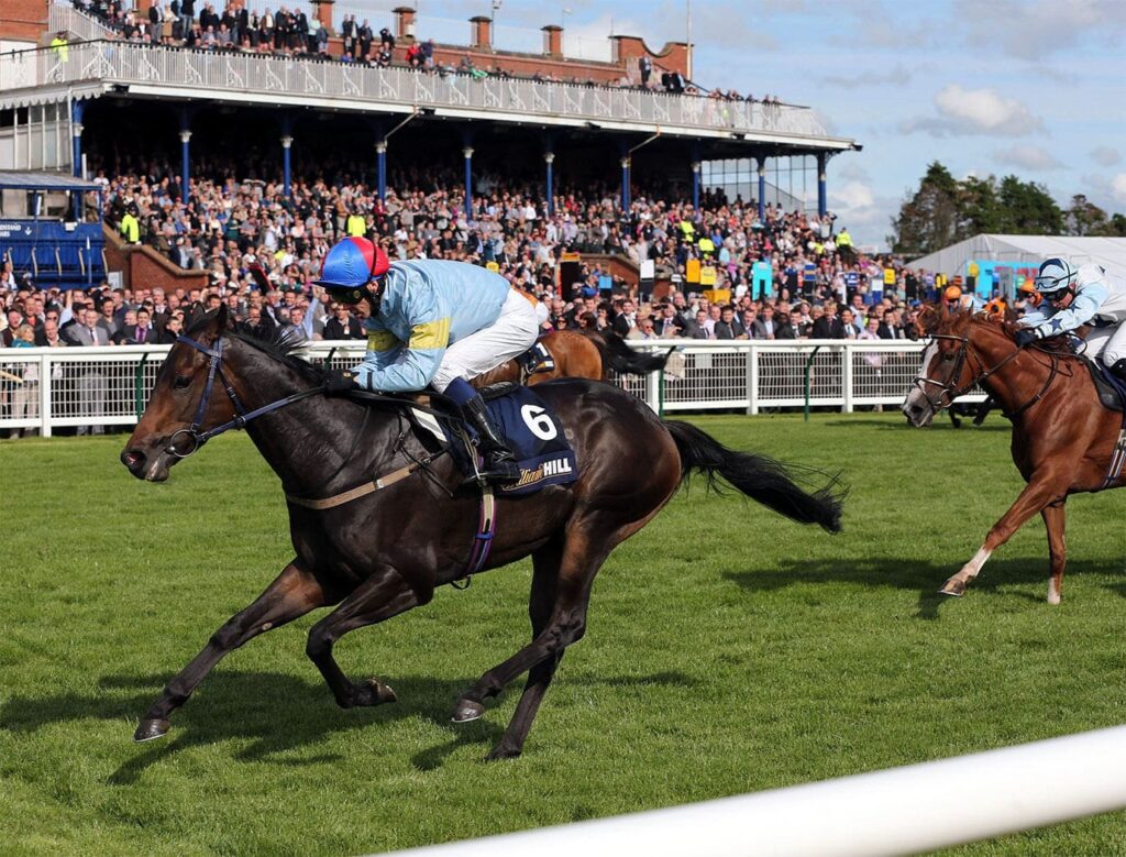 Ayr Racecourse Scottish Grand National