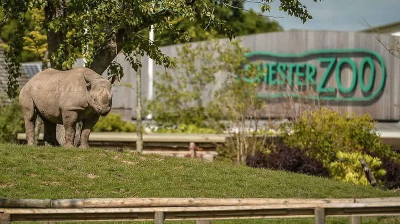 Chester Zoo — one of the best zoos in the world