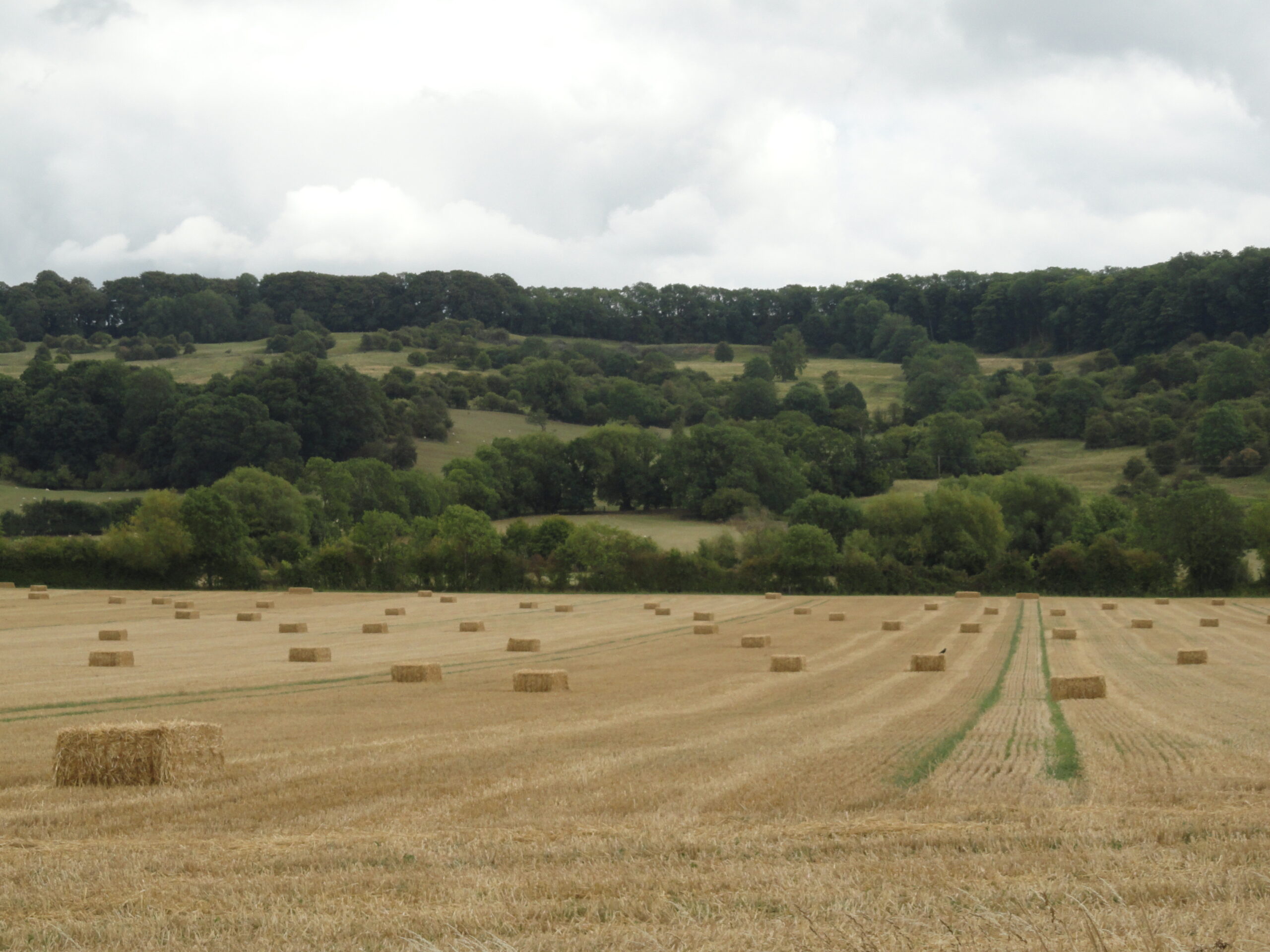 Cotswolds rural landscape walking country