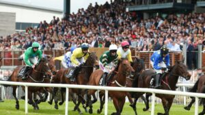 Down Royal Racecourse