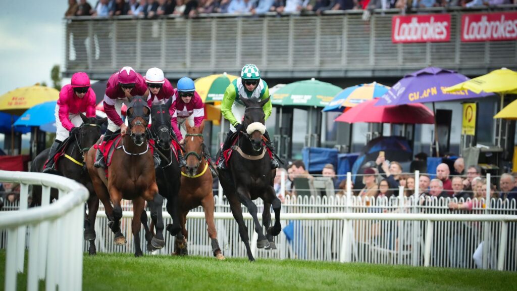 Down Royal Racecourse County Down Northern Ireland