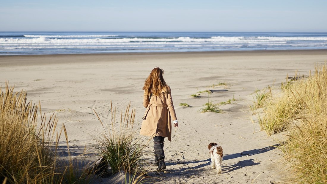 Dog friendly beach Cornwall holiday