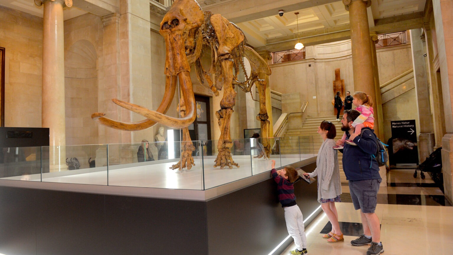 National Museum Cardiff Wales