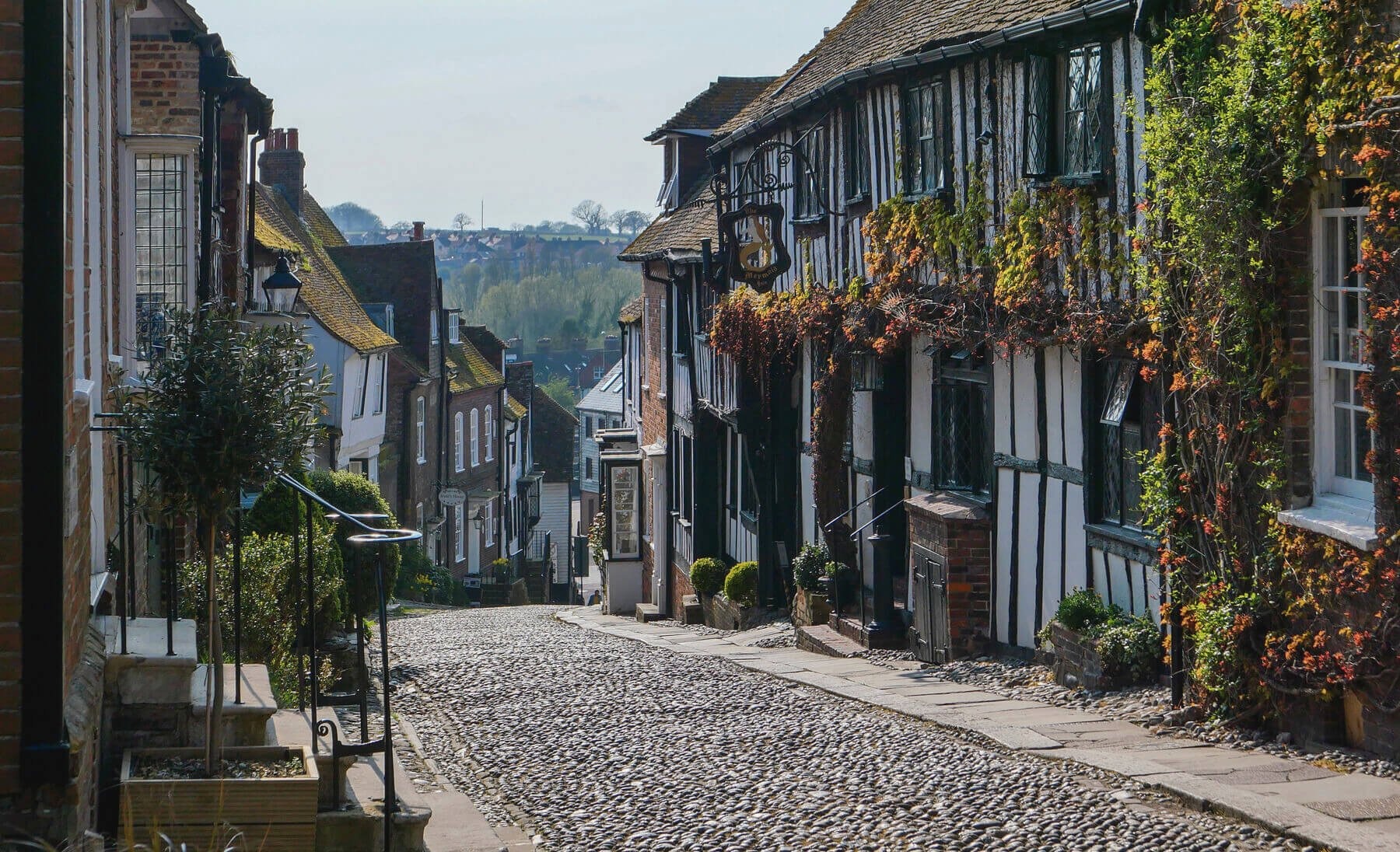 Mermaid Street Rye cobbled