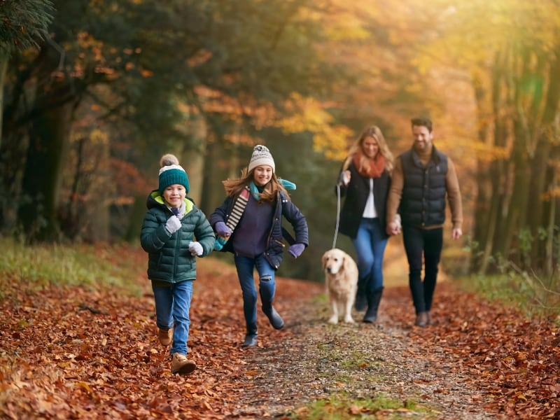 The UK's mildest winter destinations