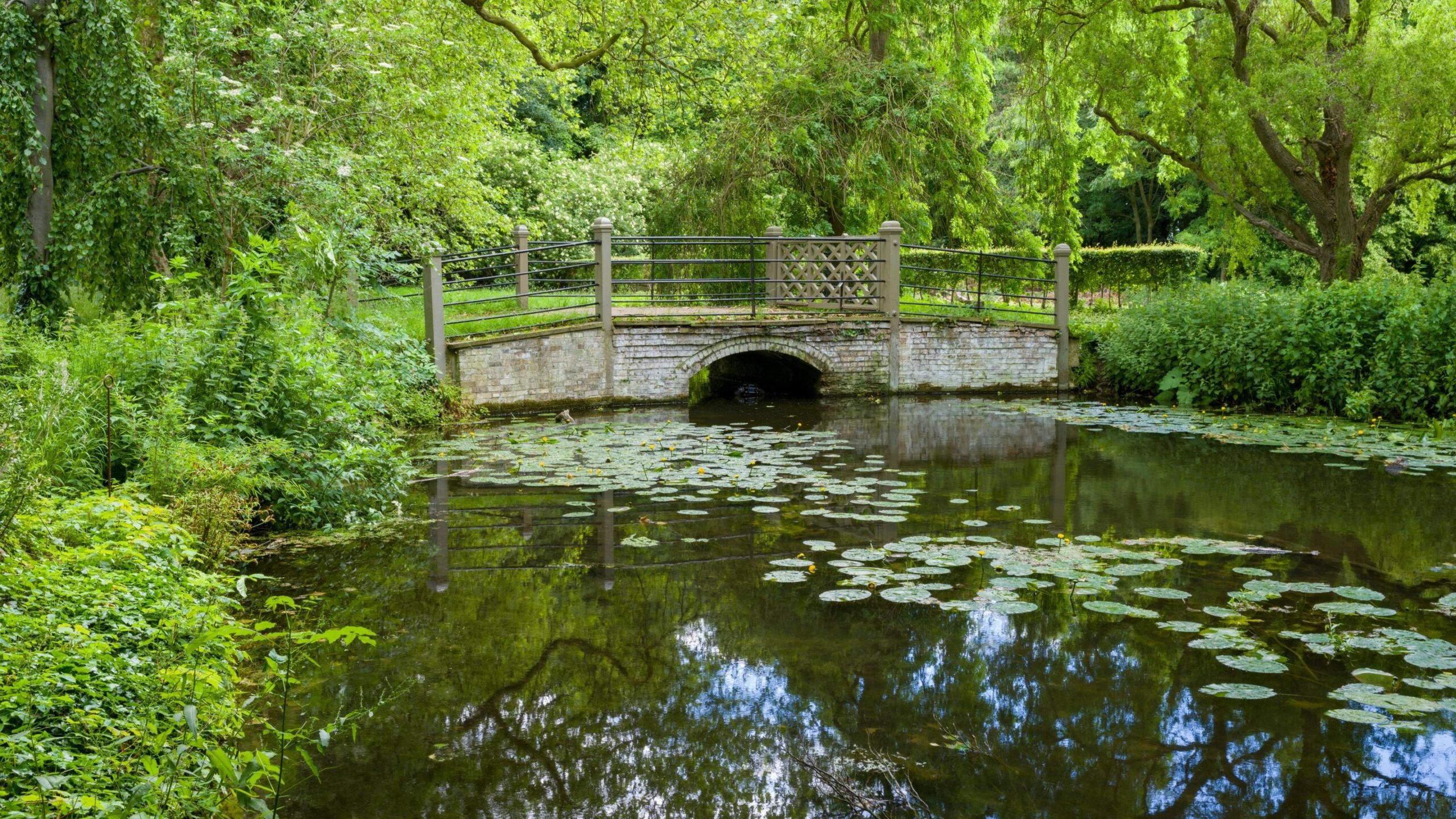 Riverside meadows open landscape walking paths