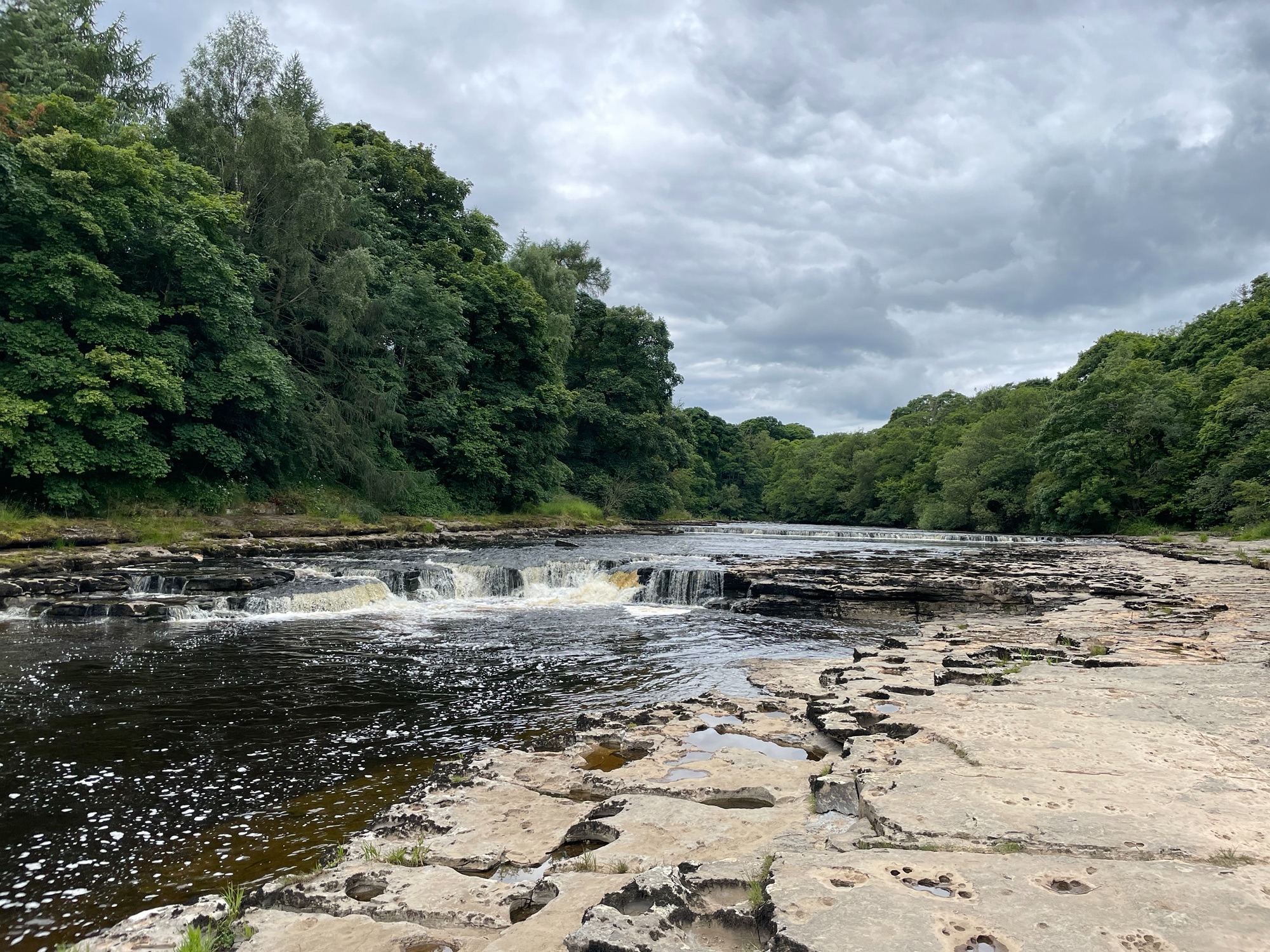 Wensleydale valley woodland River Ure pastoral landscape