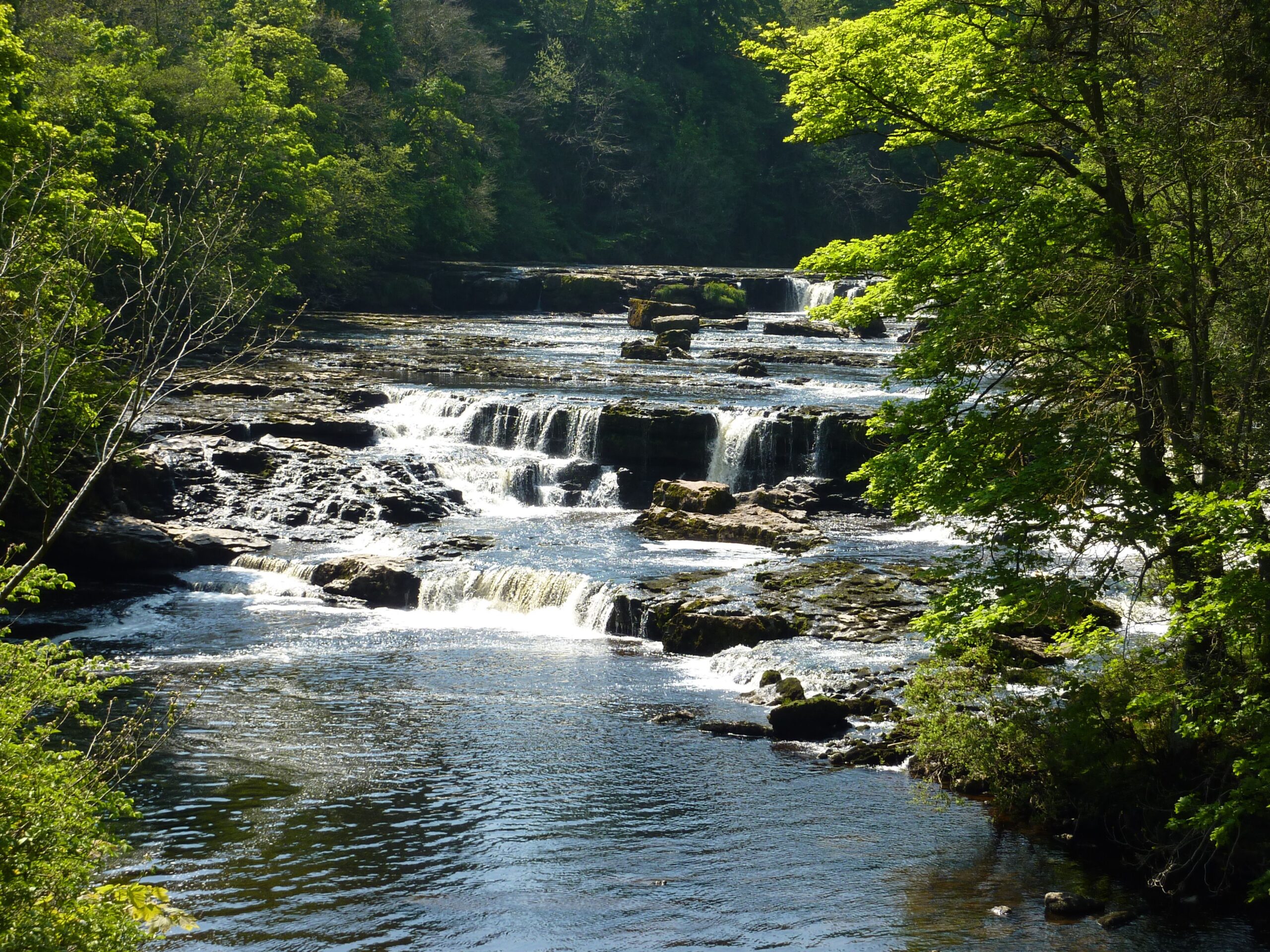 Limestone cascades stair-step formation geological process