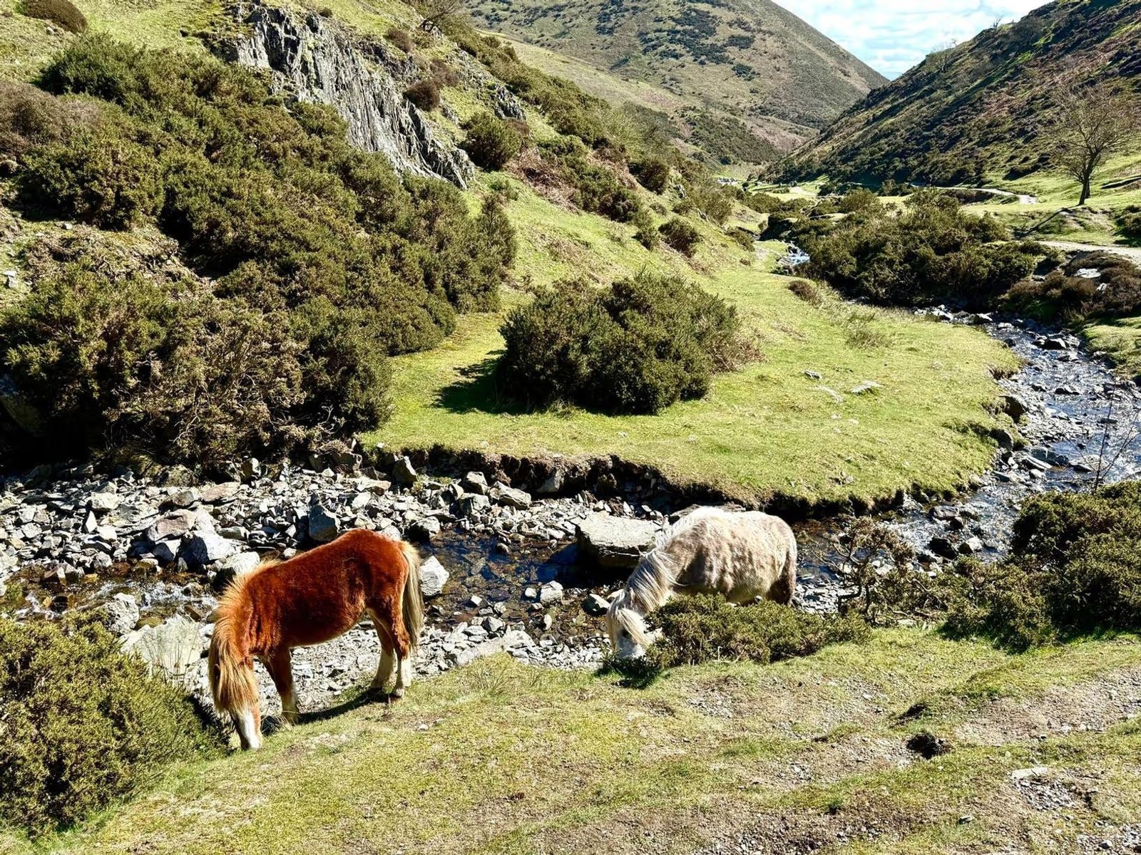 Carding Mill Valley