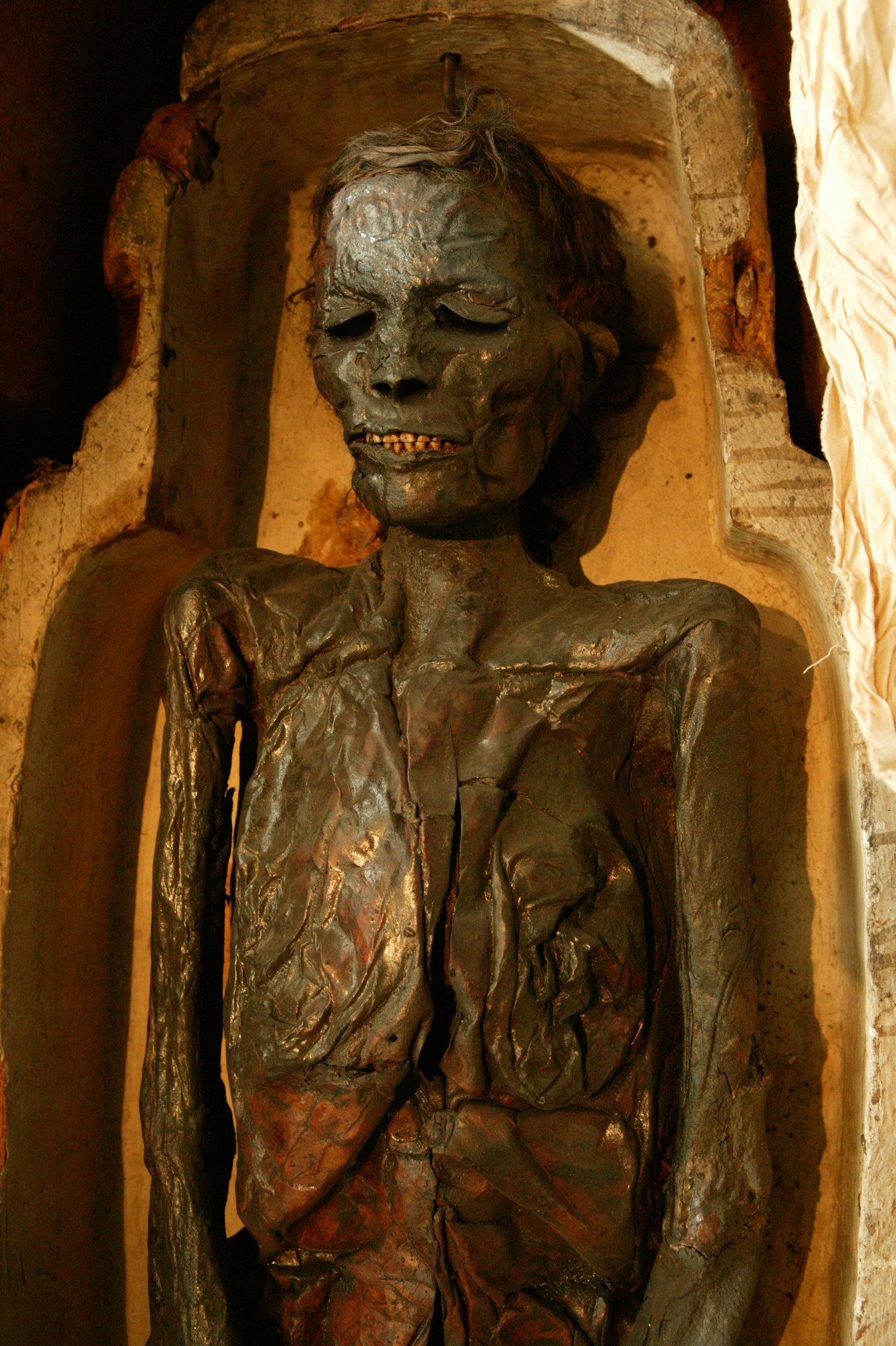 Egyptian mummies at the Great North Museum
