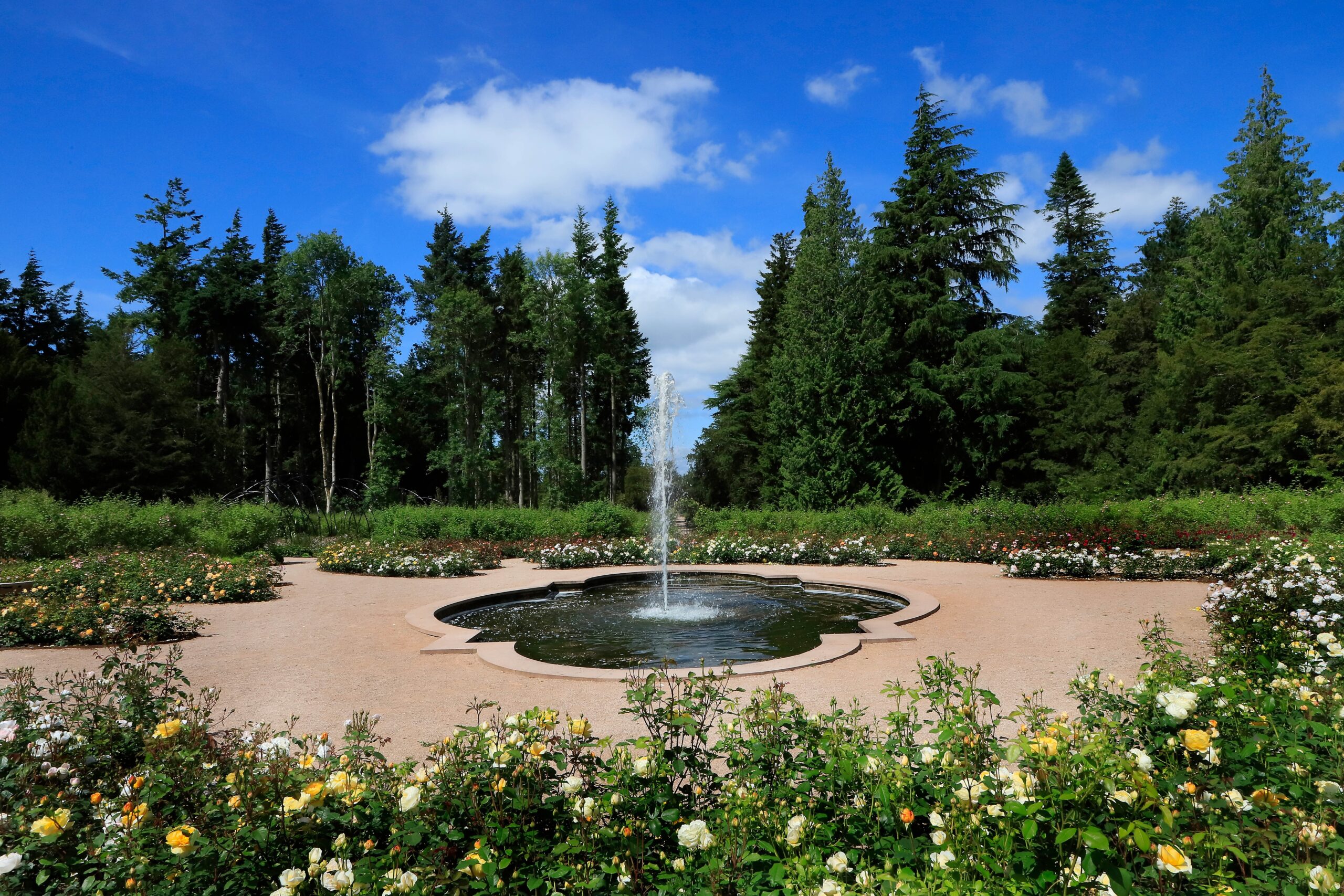 The Rose Garden at Lowther Castle