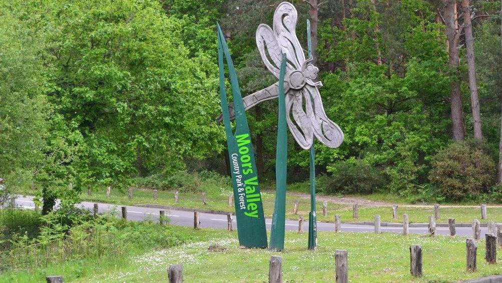 Moors Valley forest Dorset