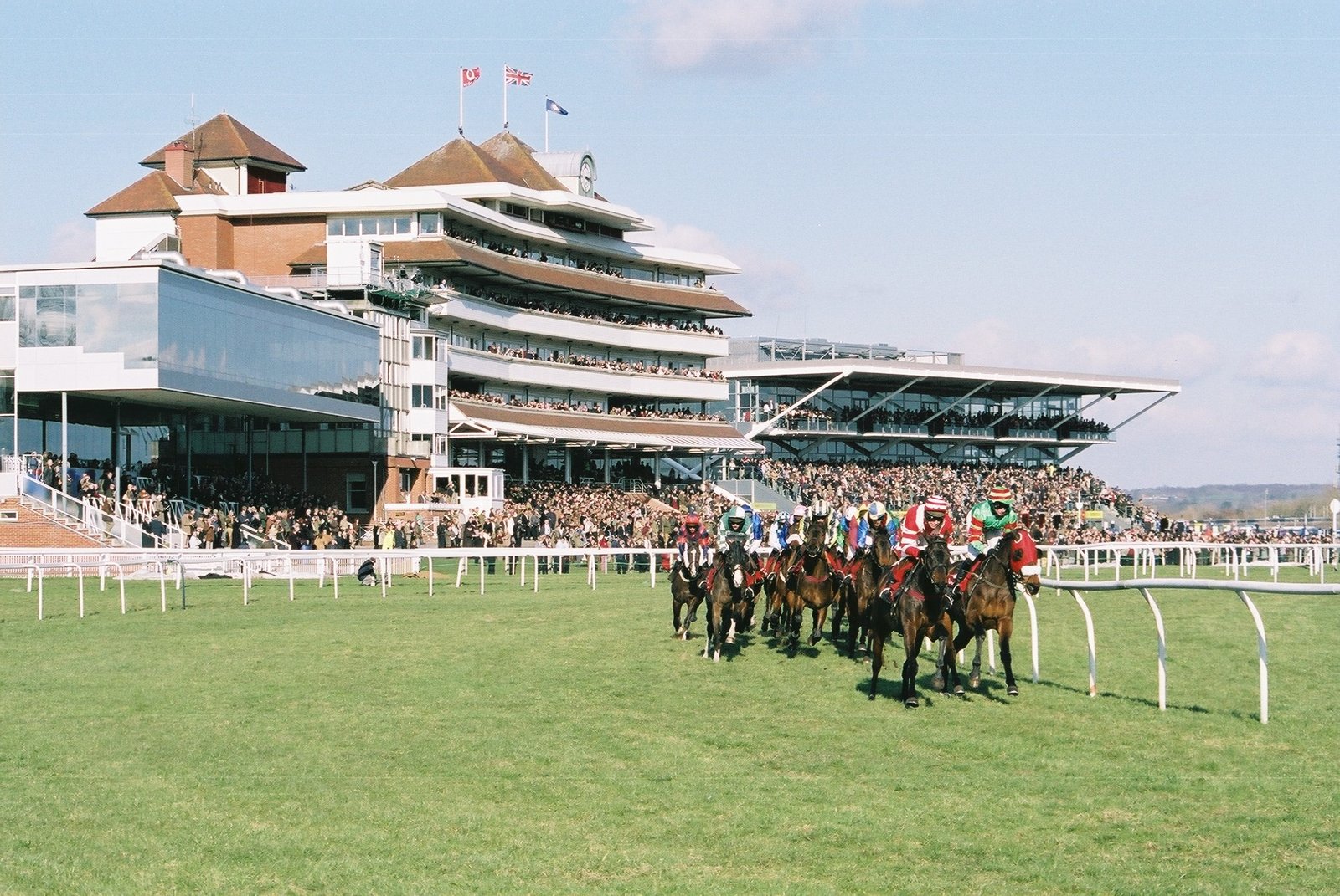 Horse racing action on the track