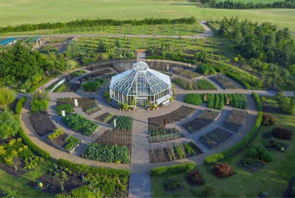 Global Growth Vegetable Garden food plants worldwide