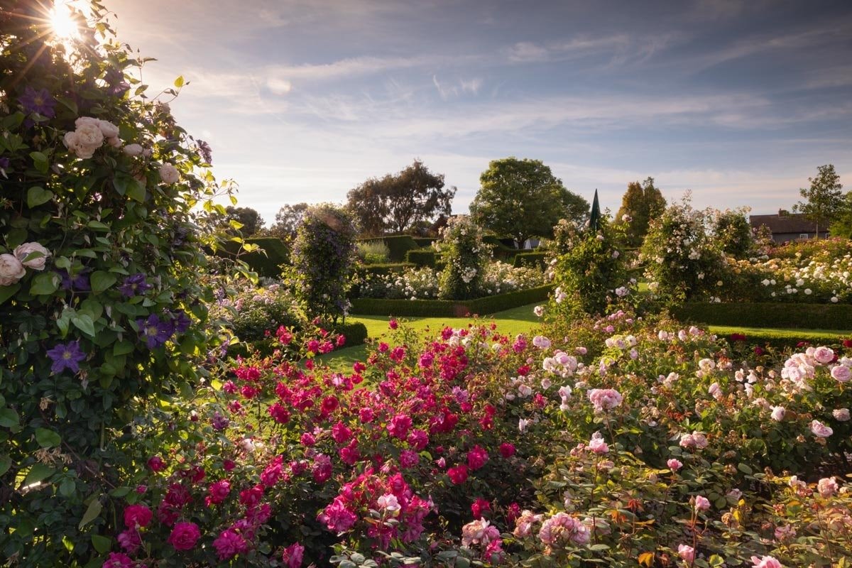 Hilltop Garden roses herbaceous borders panoramic countryside