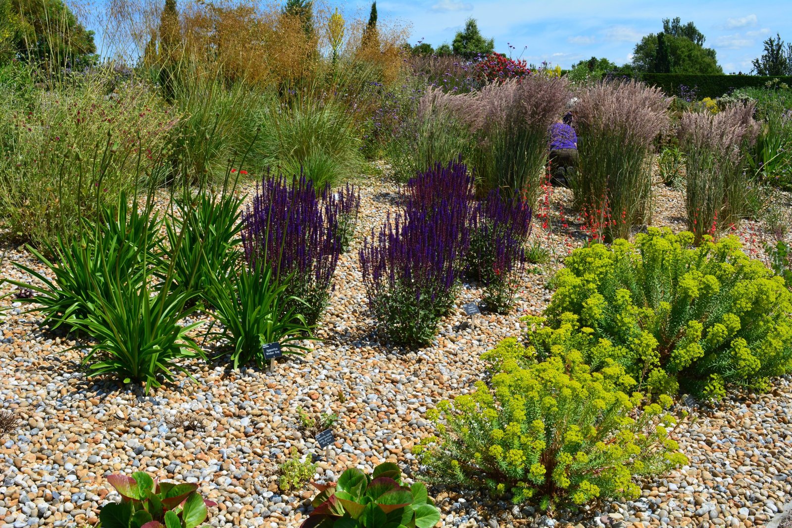 RHS Garden Hyde Hall