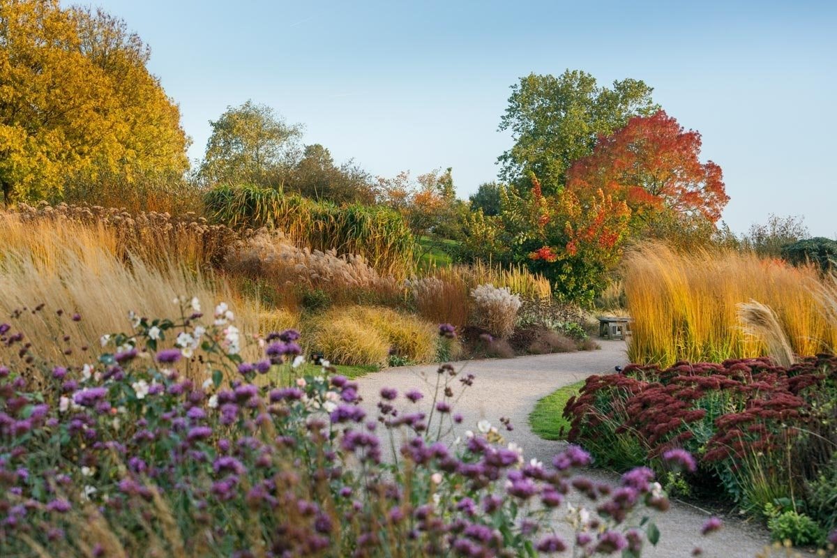 Cottage garden beds roses perennials colour