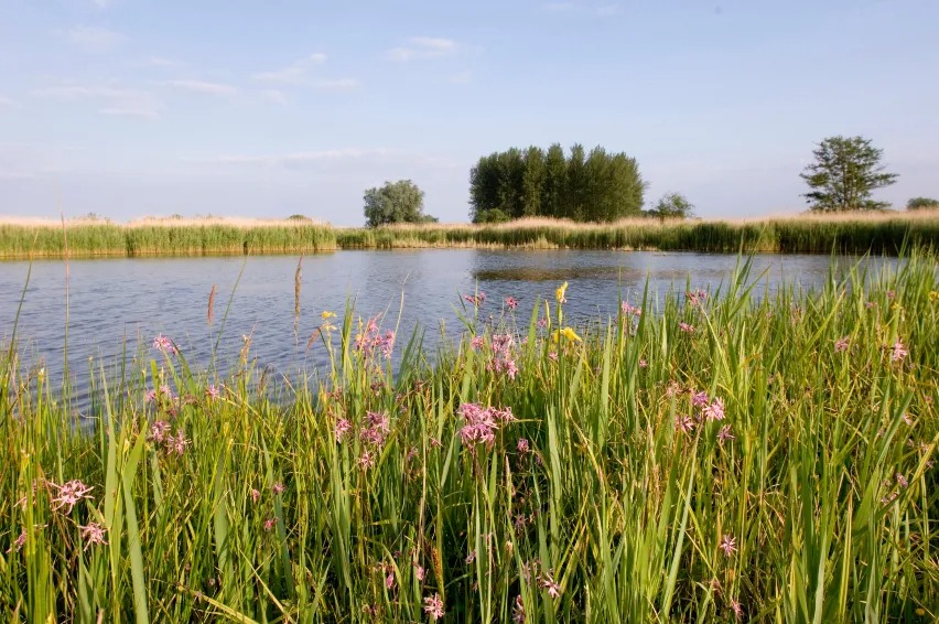 RSPB Minsmere