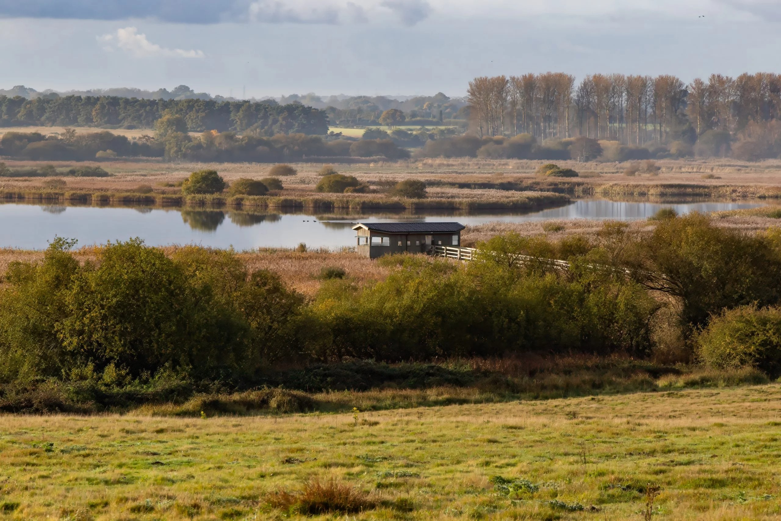 Birdwatching hide viewing platform observation reedbed