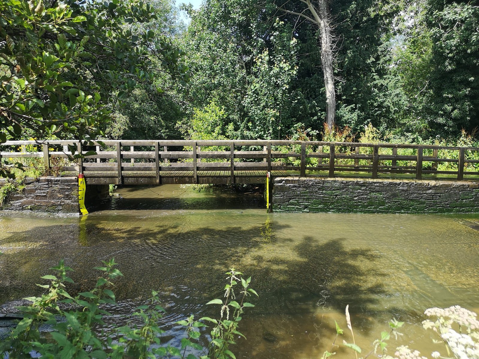 Woodland path country park walking trails nature access