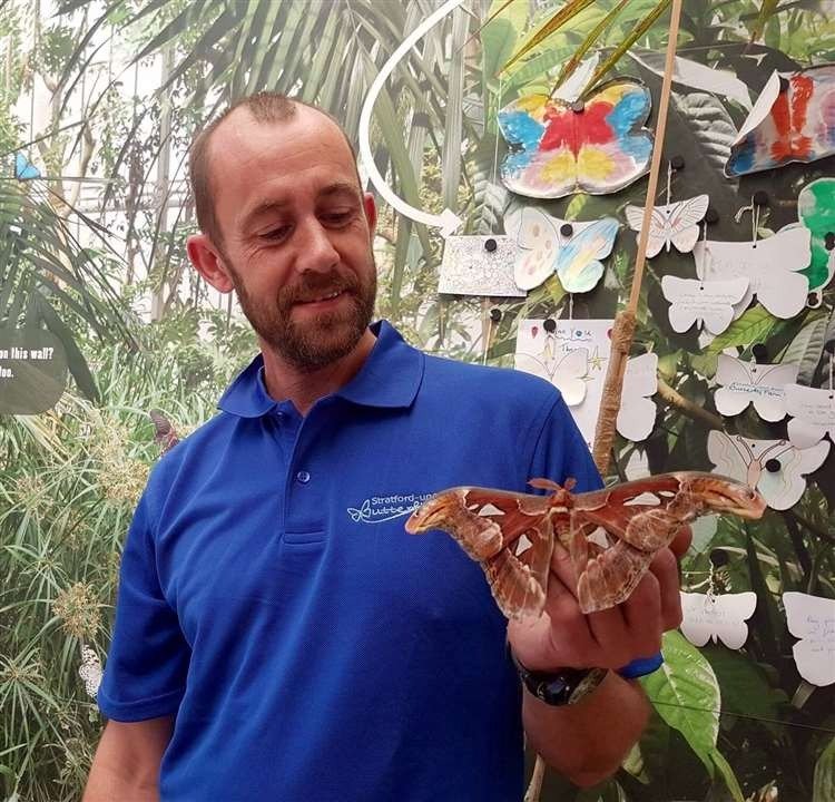 Discovery Zone caterpillar pupae butterfly lifecycle educational interactive