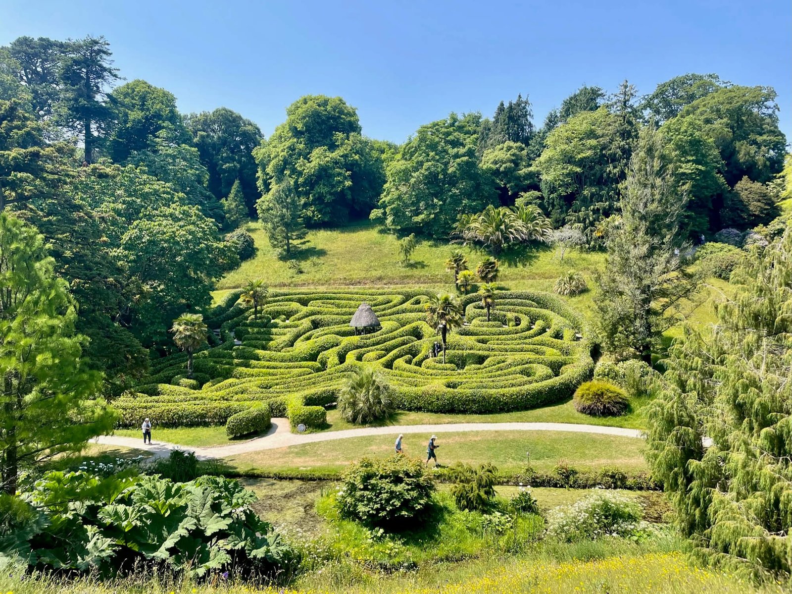 Trebah & Glendurgan Gardens