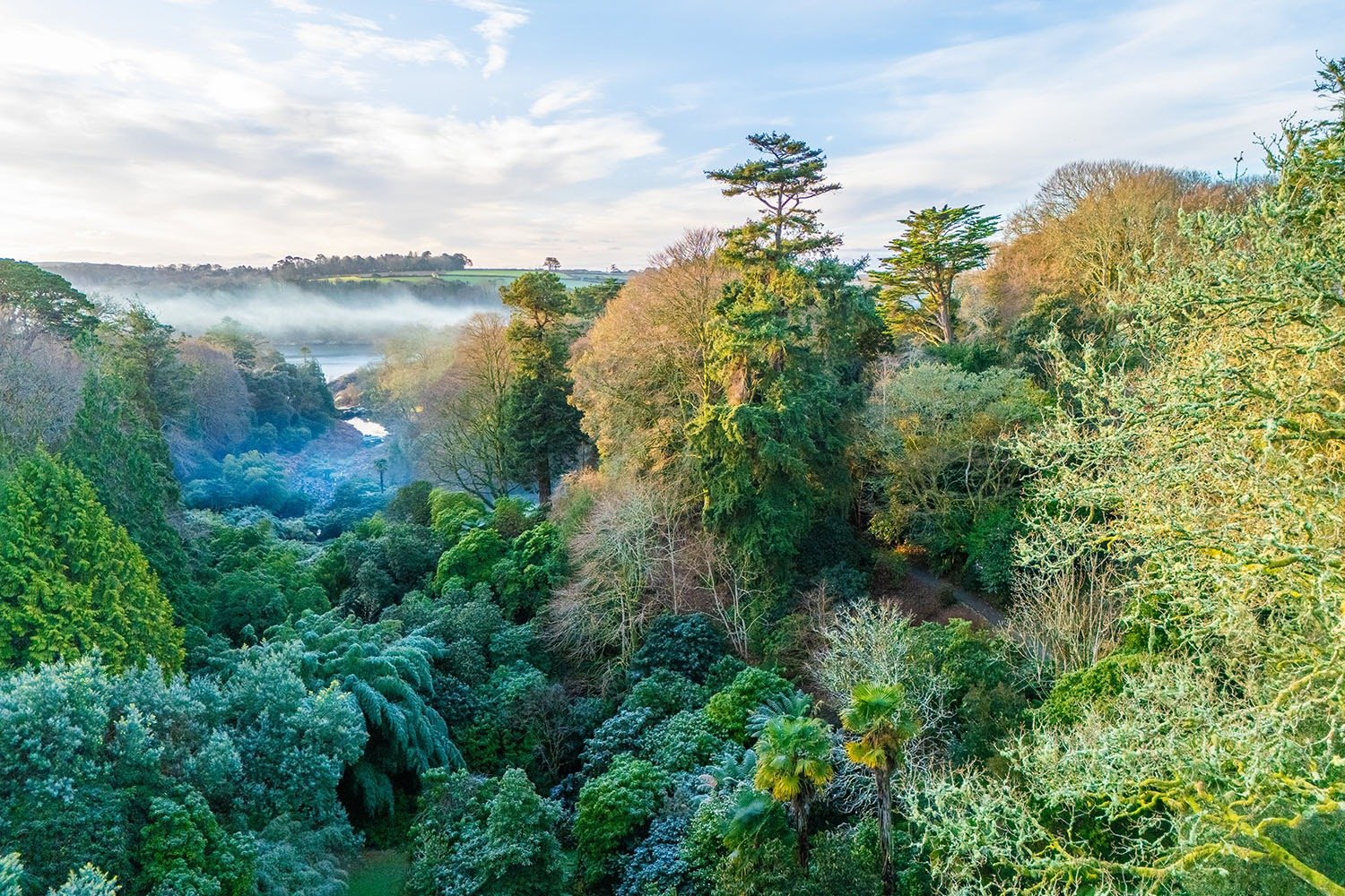 River Helford views from Glendurgan terraces