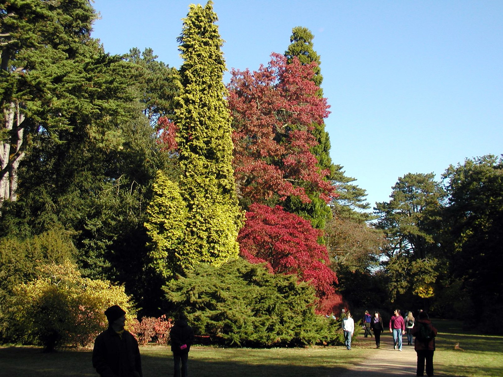 Westonbirt, The National Arboretum