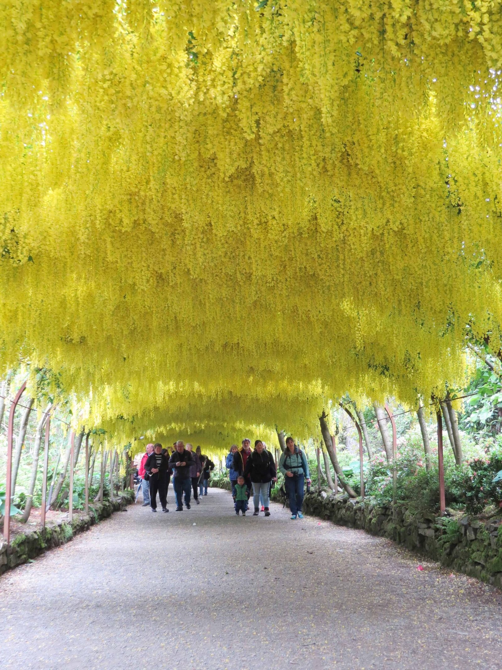 Visitors exploring the flower-filled terraces at Bodnant Garden