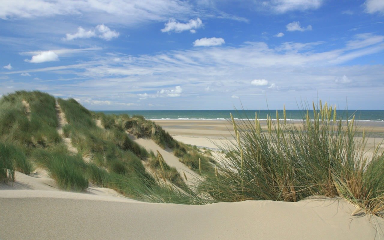 Sand dunes at Ynyslas National Nature Reserve
