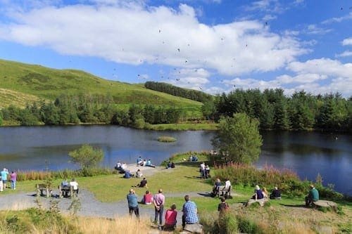 Visitors watching the daily red-kite feeding beside the lake