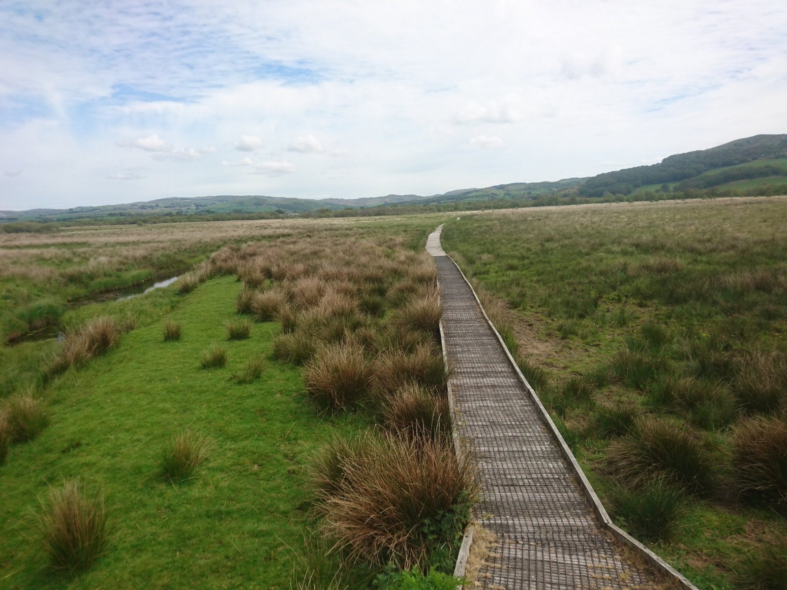 Cors Caron National Nature Reserve