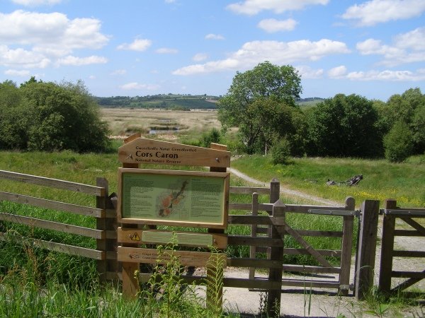 Open peat bog landscape at Cors Caron National Nature Reserve