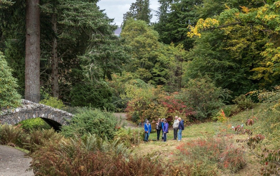 Woodland walk at Dawyck Botanic Garden