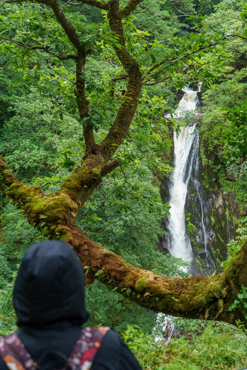 Waterfalls cascading through the wooded gorge at Devil’s Bridge