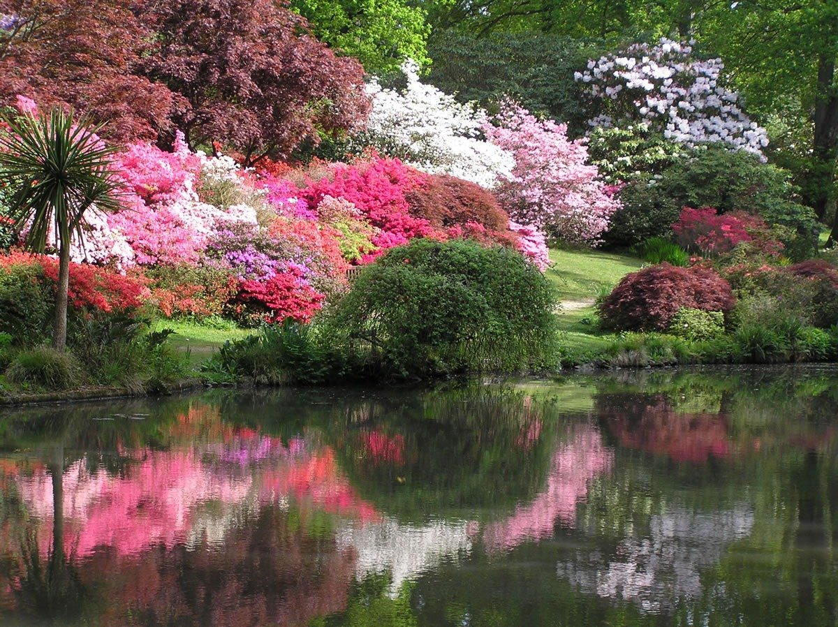 Exbury Gardens & Steam Railway
